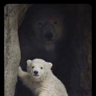 Georgiy_Gromov