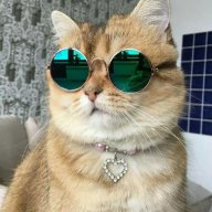 Danila_Viperr