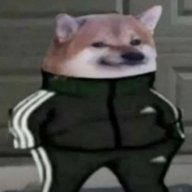 Despaze_Wockhardt
