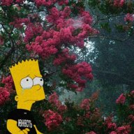 Dmytriy Hoggarth