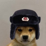 Hasegawa