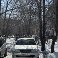 Roy_Aliev