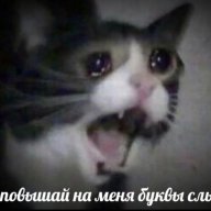 Makson_Kiselev