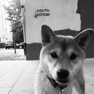 Barbariska32