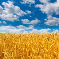 Паша Степанов