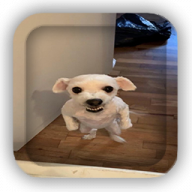 Bogdan_Symkaaw