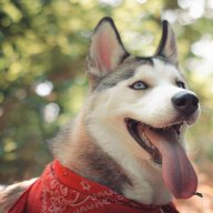Max_Kent