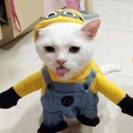 Timurqa_Okonerr