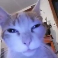 Brad_Buttowski