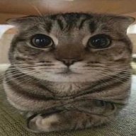 heinexy