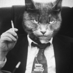 Mr.Cat