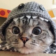 Kirill_Huff1