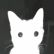 Aizek_Pleminikov