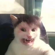 Walter_a