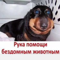 Artem_Ozerov