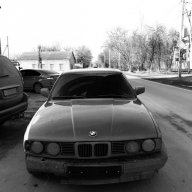 Stas_Shadrin