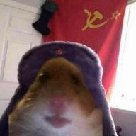 Gera_Maslov
