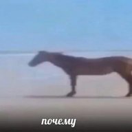 01 || Stepan_Babaevskiy