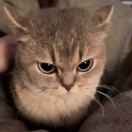 Elizaveta_Skvortsova