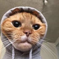 Angelina_Goldschmidt