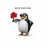 Костя Тевзадзе