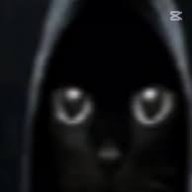 Kiwi_Killzorez