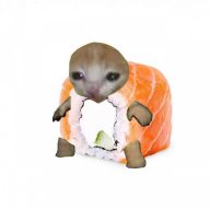 IvanReys