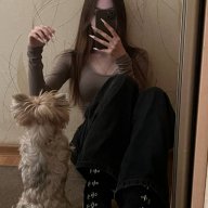 hikari