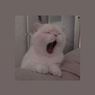 Анастасия мур)