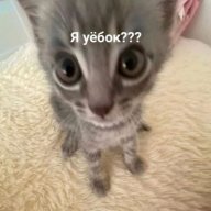 aesillusion