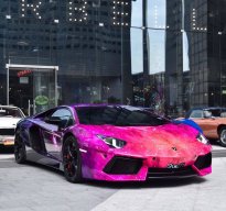 Richard_Fraisse