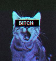 ᴛɪᴍ