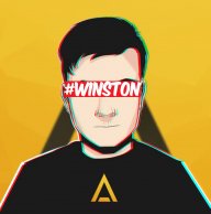 Robert_Winston