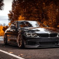NIkita_Sander