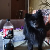 Андрей Воробьев