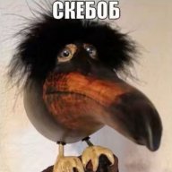 Генерал воробей исаак