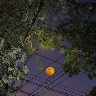 Evgenii_Lonely