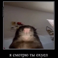 Alexei_Yeltsin