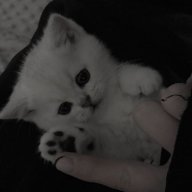 Fumi_Yoshida