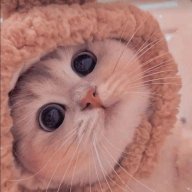 Blackwoods