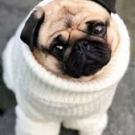 mopsikpupsik