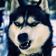 Семён Чухров