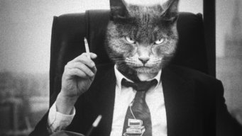 Илья Корниенко