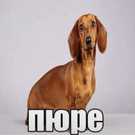 molodoysquezze
