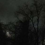 Konstantin_Pankratov