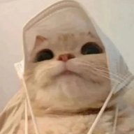 Том Платинум