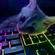 Willyams_Forbow