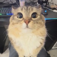 Mityai_Romanov