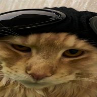 Hamado_Impress
