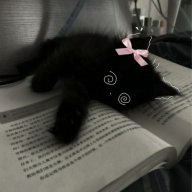Satomi_Soulie